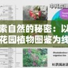 (天空之城电子琴视频教程)适合初学者的天空之城电子琴简谱教程：零基础也能轻松弹奏