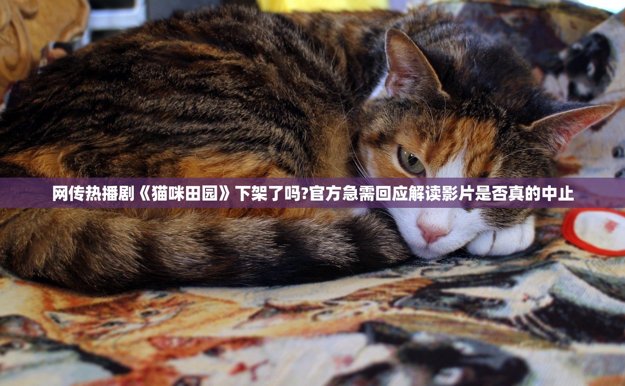 网传热播剧《猫咪田园》下架了吗?官方急需回应解读影片是否真的中止